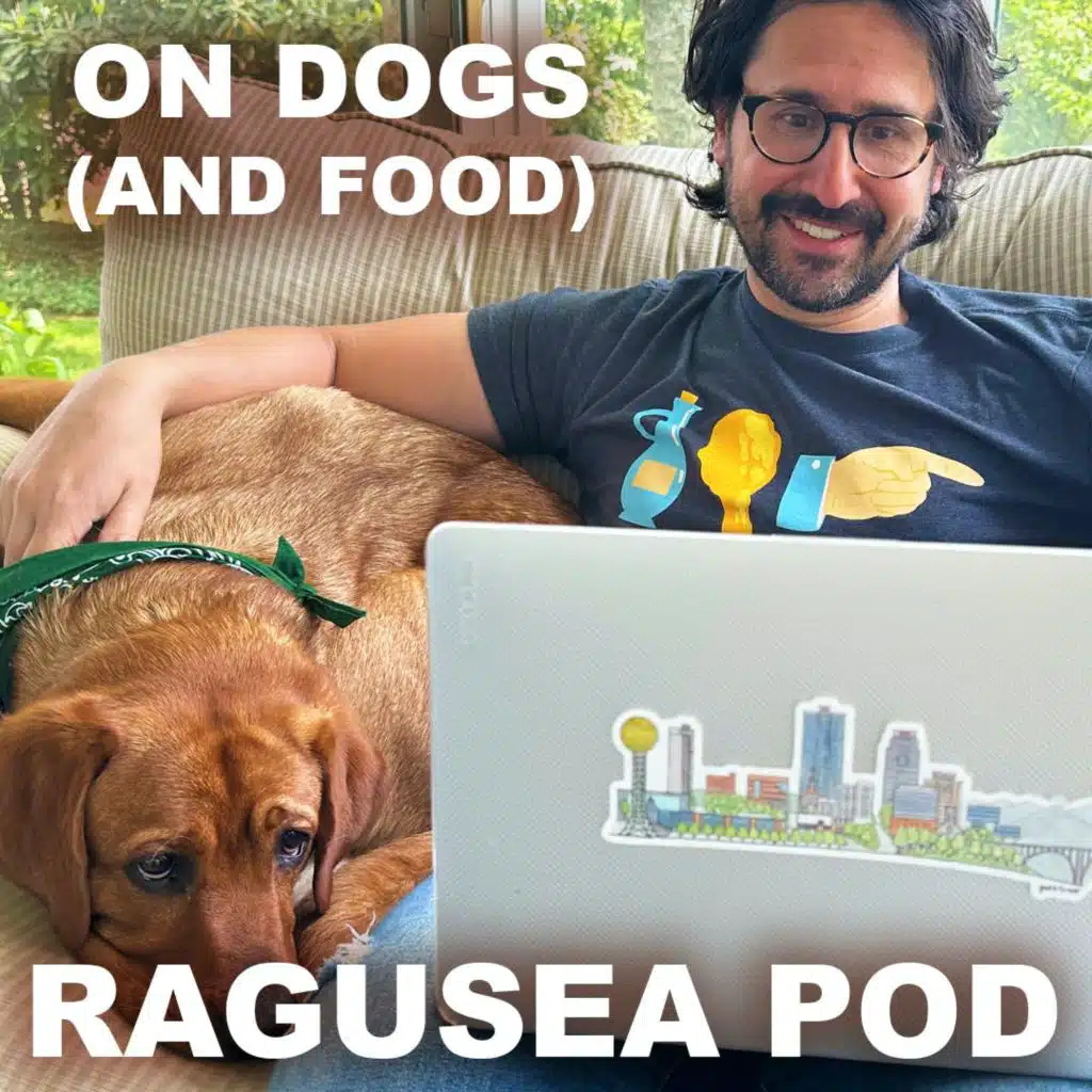 The (bad) way people and dogs eat (E56)