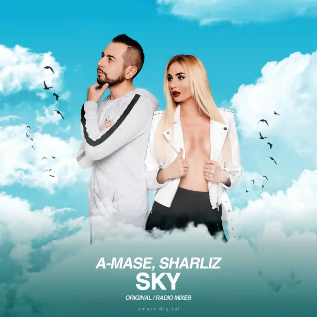 Sky (Radio Mix)