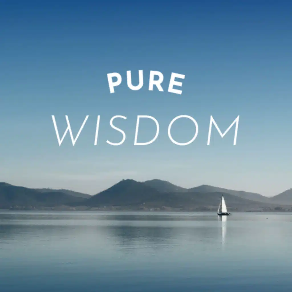 Pure Wisdom