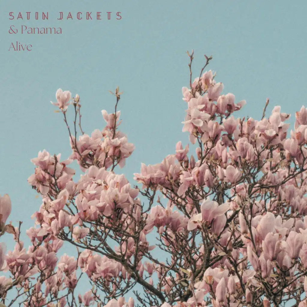 Satin Jackets & Panama