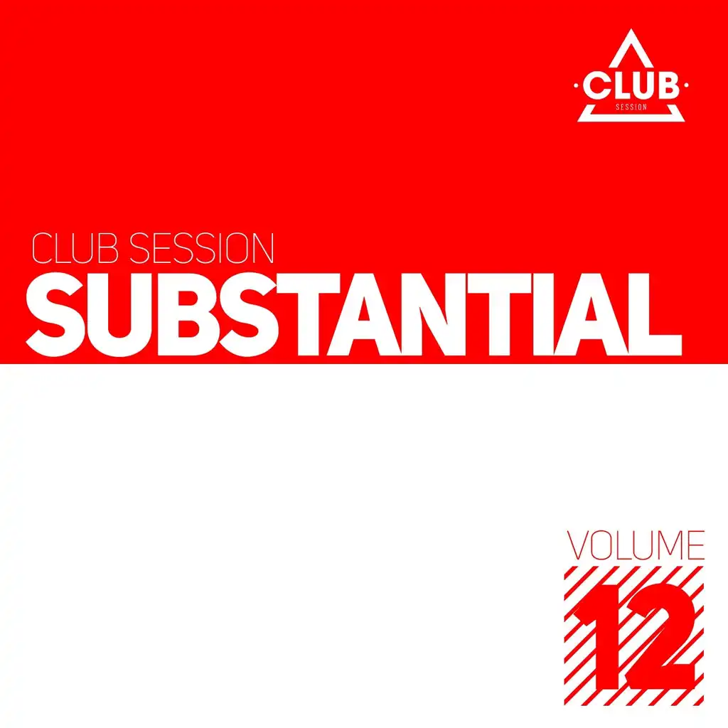 Substantial House, Vol. 12