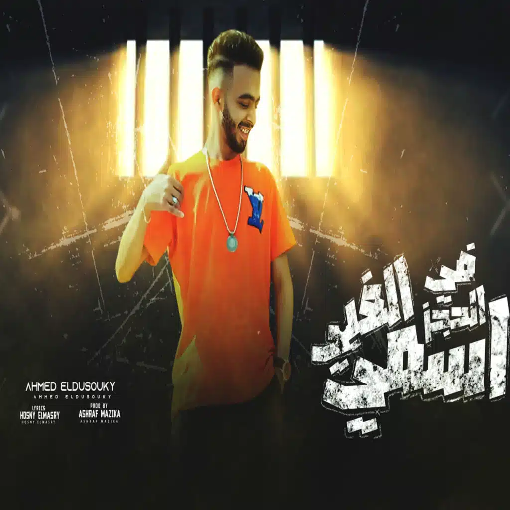 احمد الدسوقى