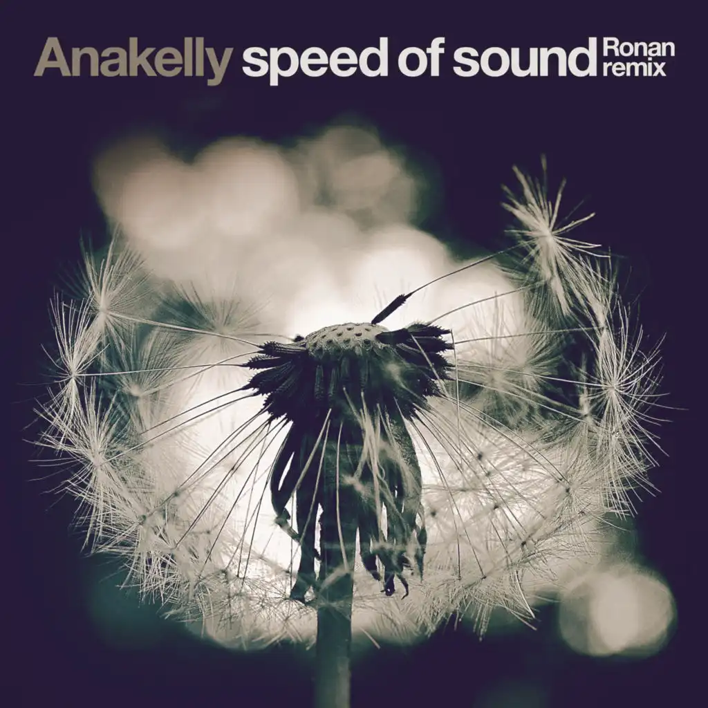 Speed of Sound (Ronan Instrumental Remix)