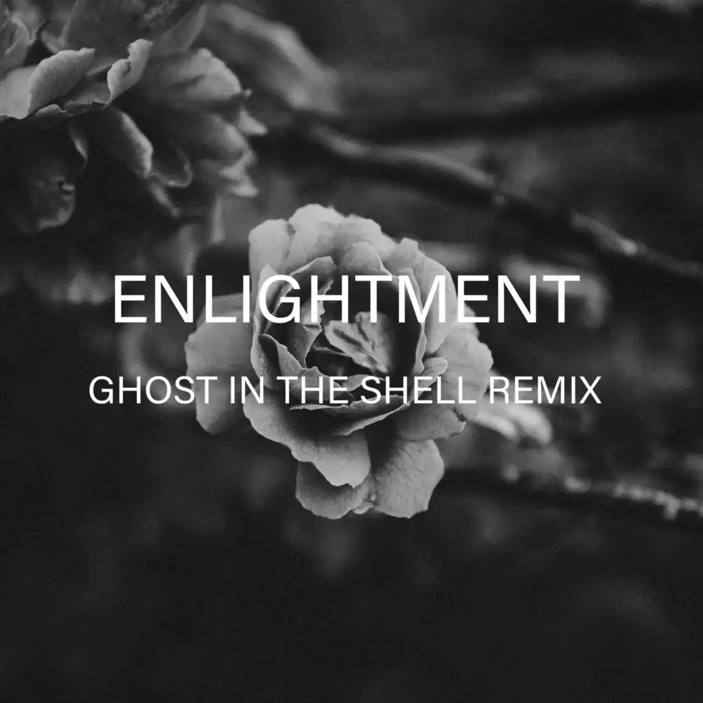 Enlightment (Ghost in the Shell Remix)