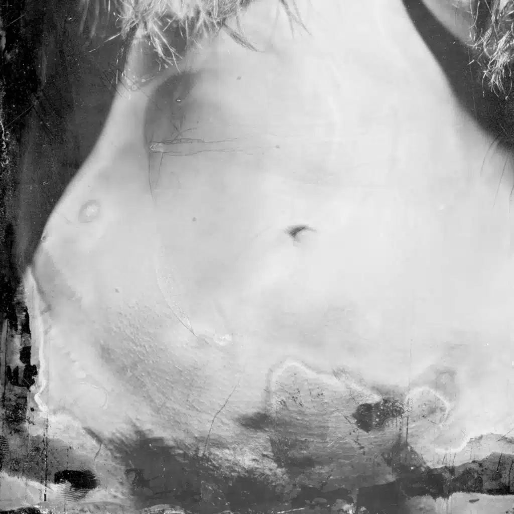 Angst im Bauch (feat. Fjedn)