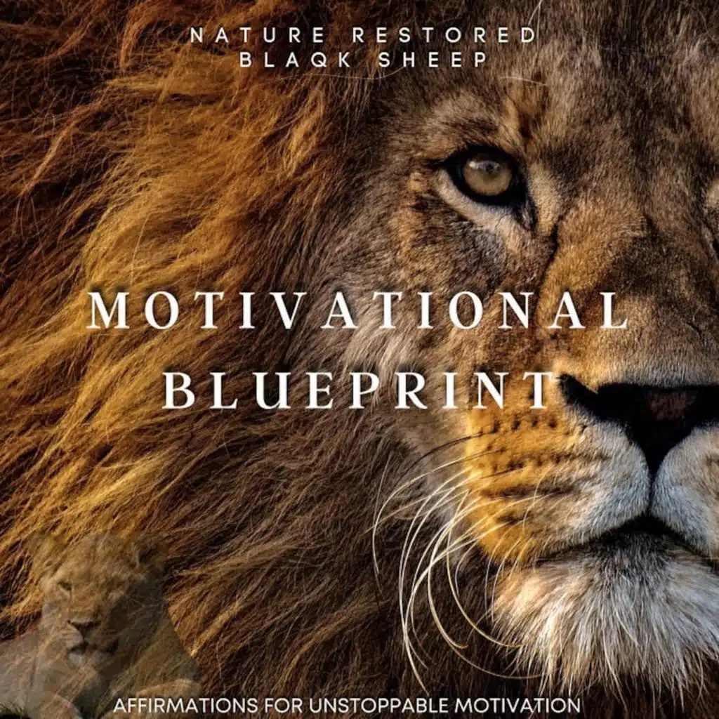 Nature Restored & Blaqk sheep
