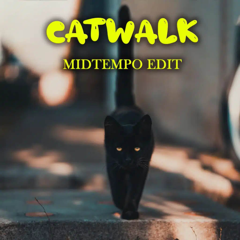 Catwalk (Midtempo edit)