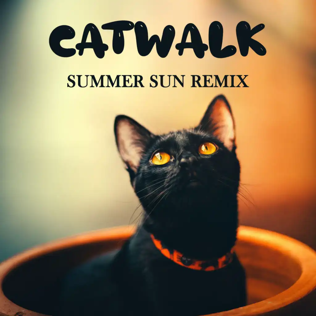 Catwalk (Summer Sun Remix)