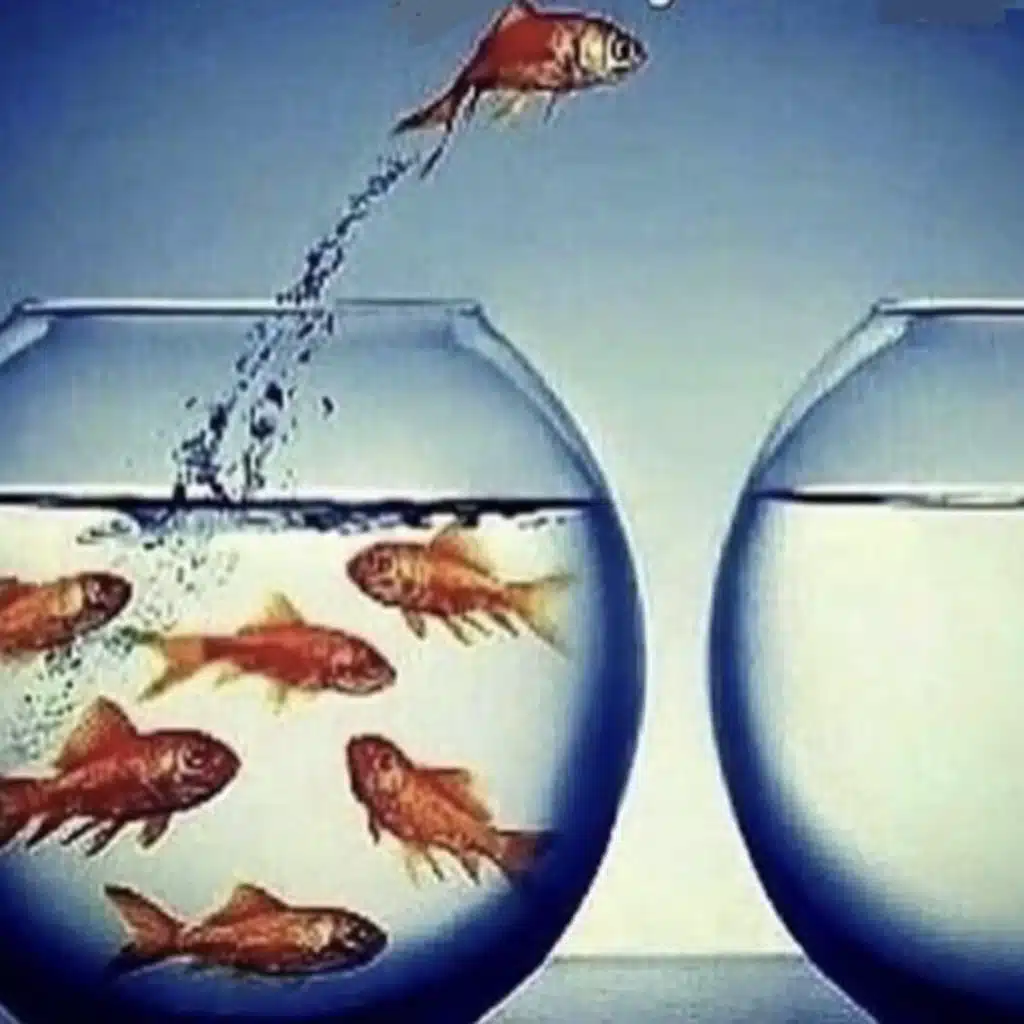 In a late night 🚹