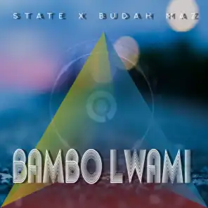 Bambo Lwami