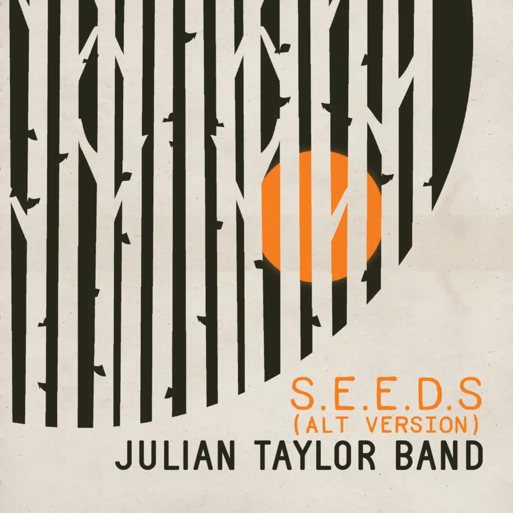 Julian Taylor Band