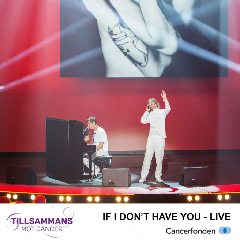 If I Don't Have You (Live)