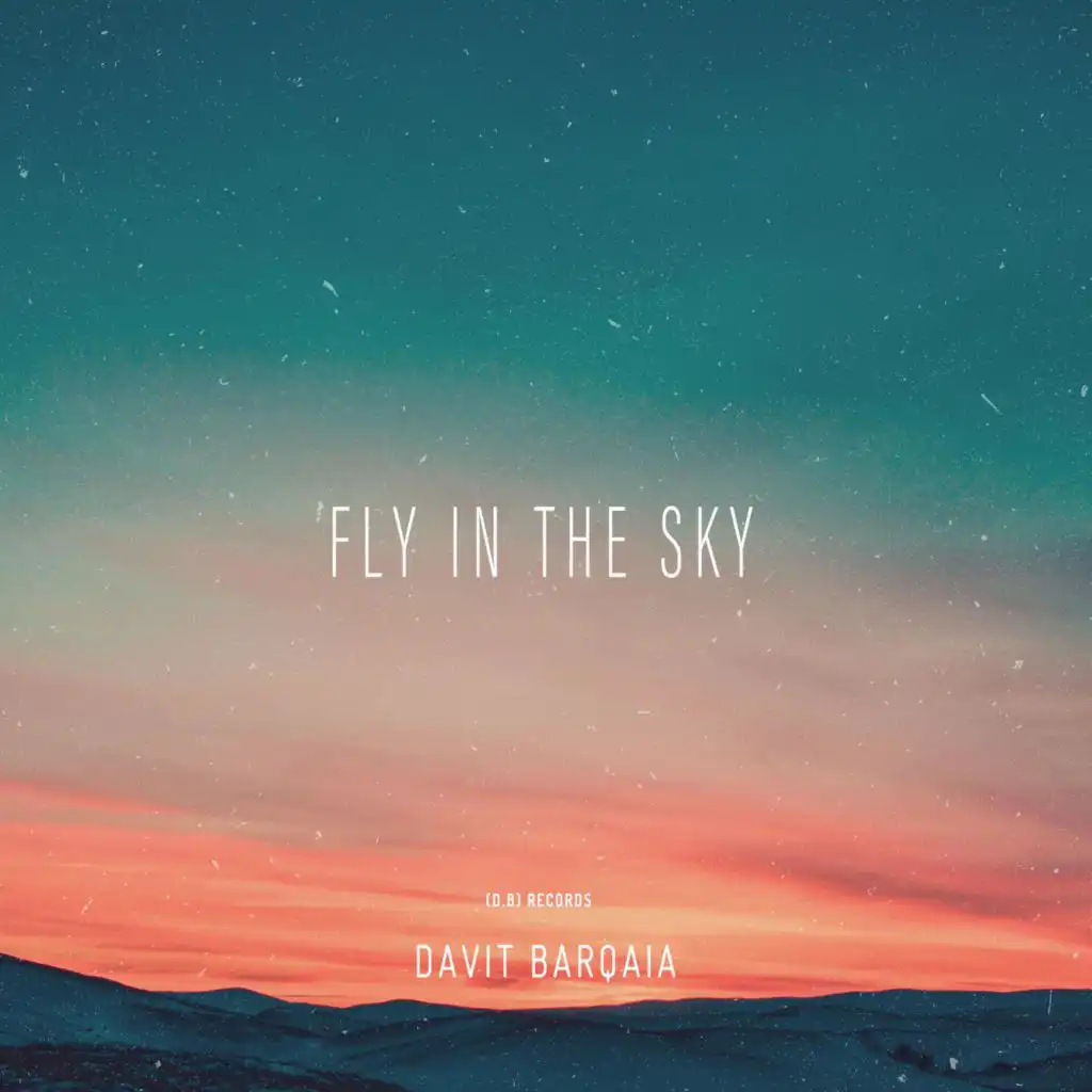 Fly In The Sky