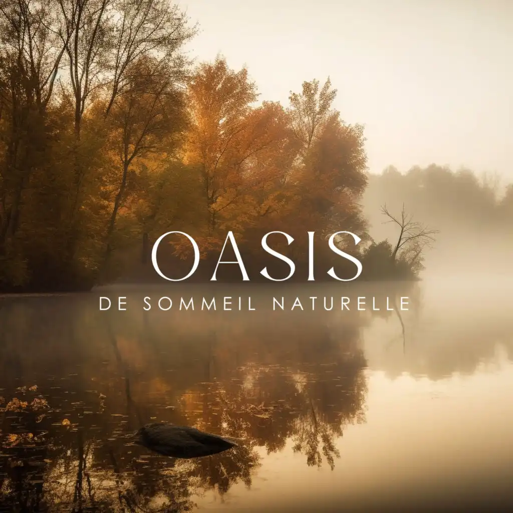 Ensemble de Musique Zen Relaxante & Oasis des Bruits Naturels