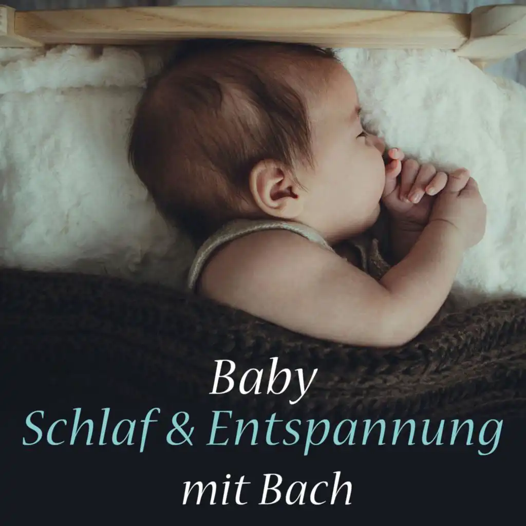 Sir Neville Marriner, Alan Loveday, Caroline Marwood, Celia Nicklin, George Caird, George Malcolm, Graham Sheen, Nicholas Hill & Timothy Brown