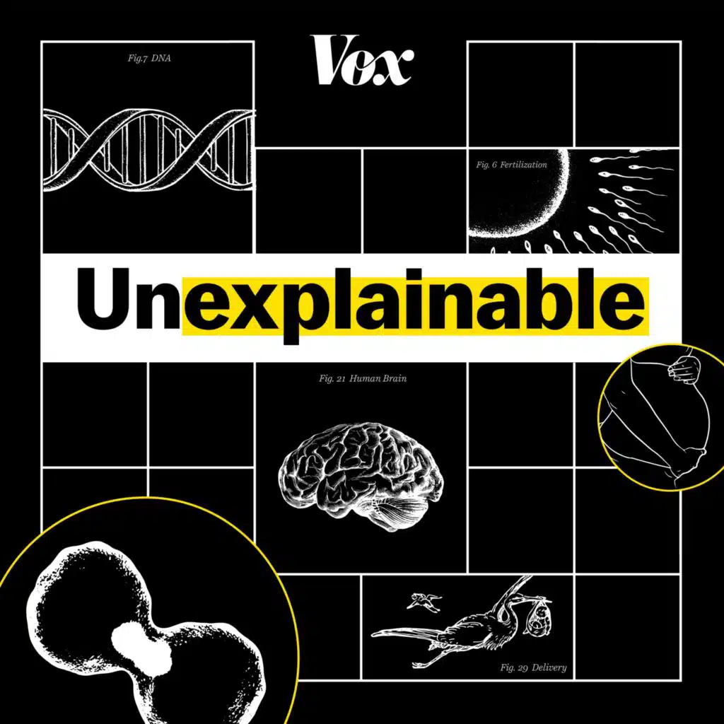 Expecting: Pregnancy souvenirs