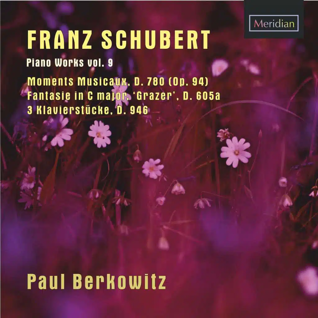 Franz Schubert: Piano Works, Vol. 9
