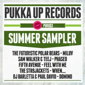 Pukka Up Records (Summer Sampler)