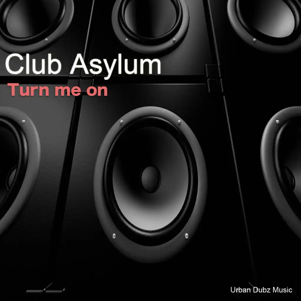 Turn Me On (Future Stepperz Mix)