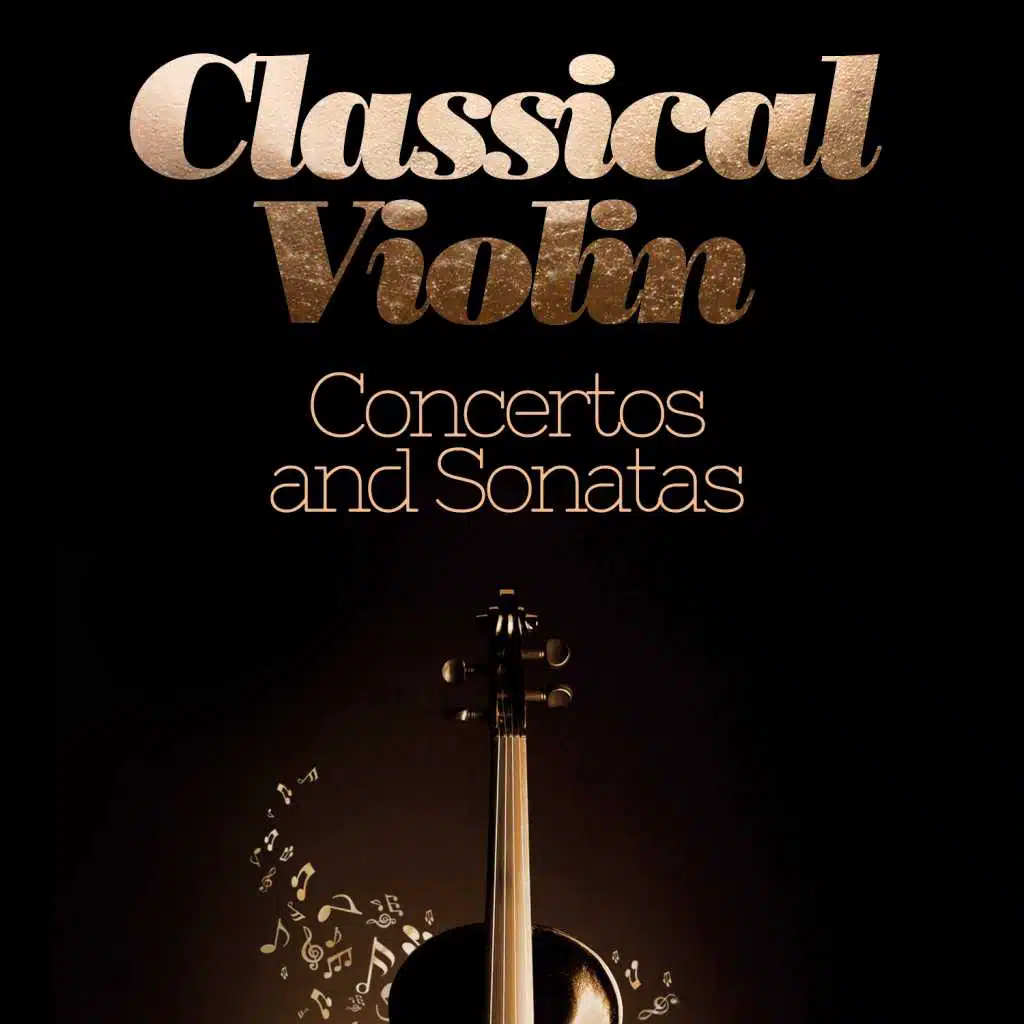 Violin Concerto in D Major, Op. 35: I. Allegro moderato