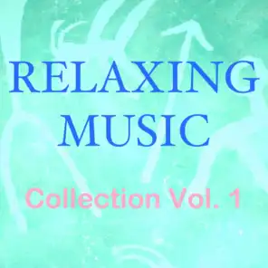 Relaxing Music (Collection, Vol. 1)