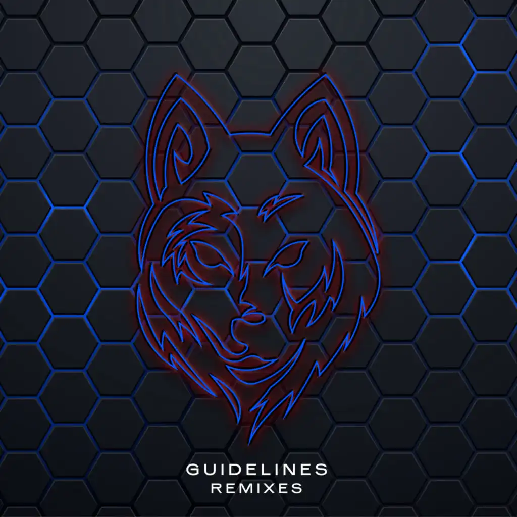 Guidelines (Amyss, Willy Van Florence Remix)