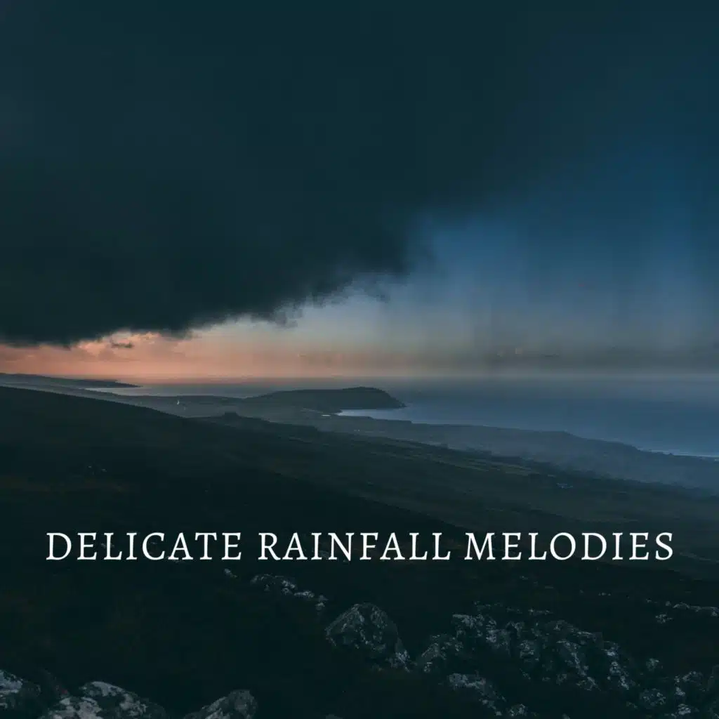 Delicate Rainfall Melodies
