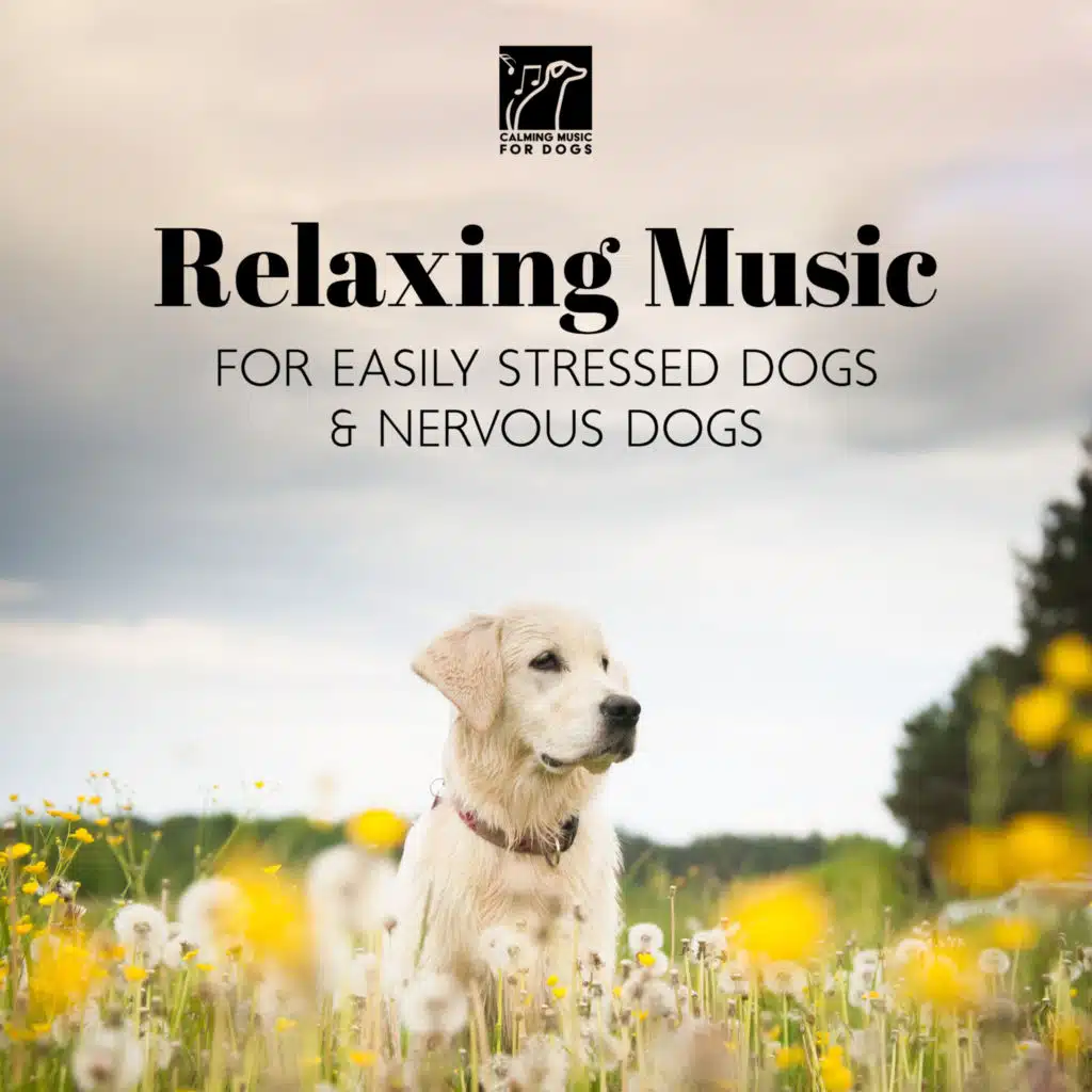 Calming Music For Dogs