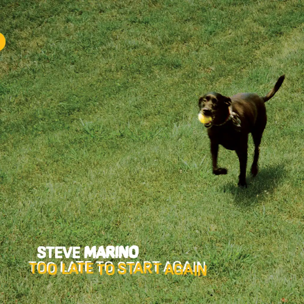 Steve Marino