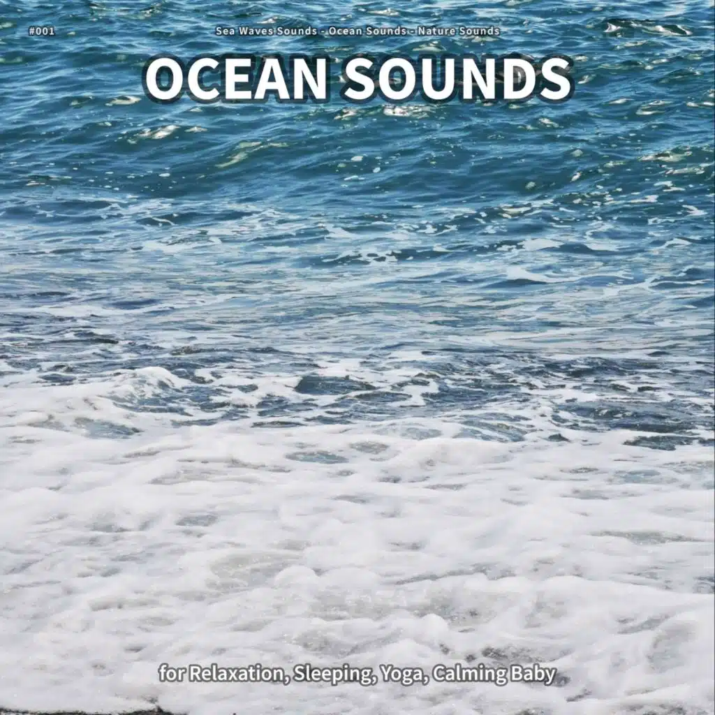 Ocean Sounds, Pt. 12