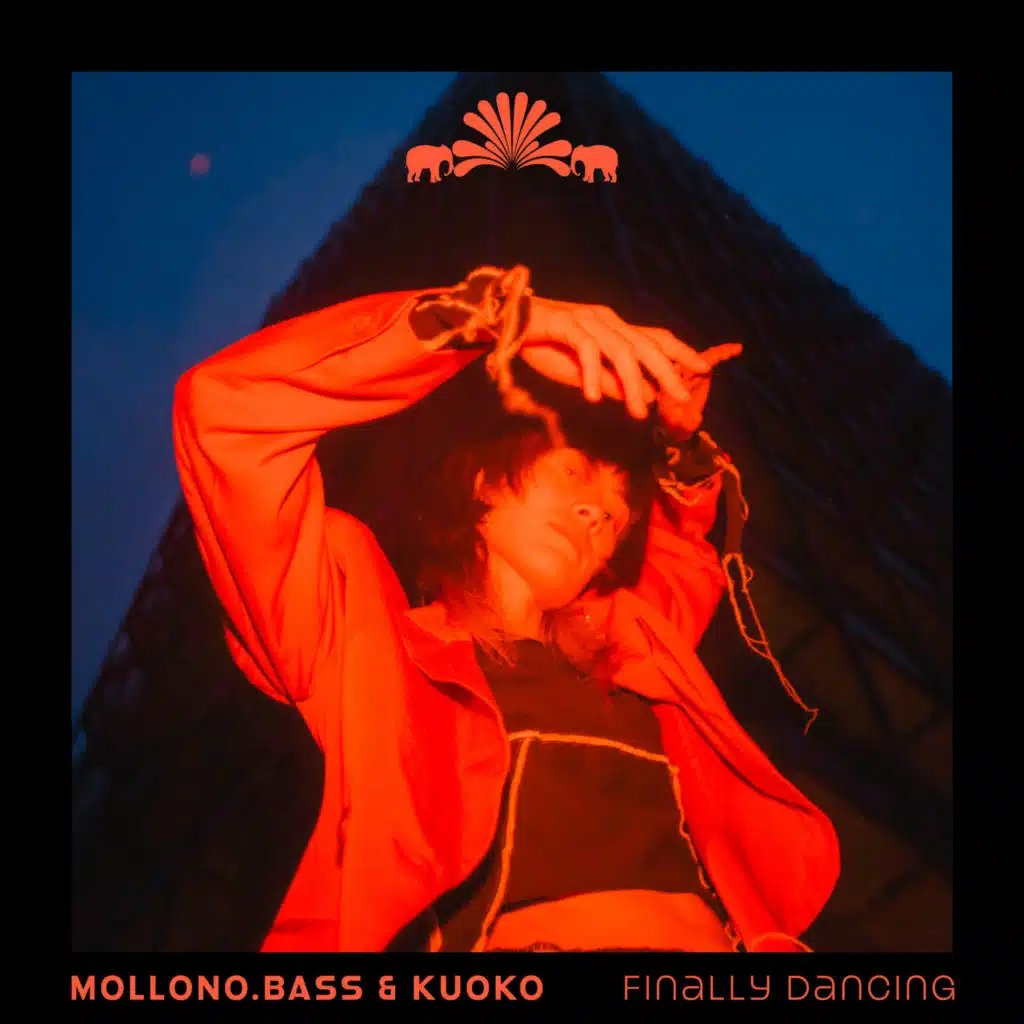 Mollono.Bass, Kuoko