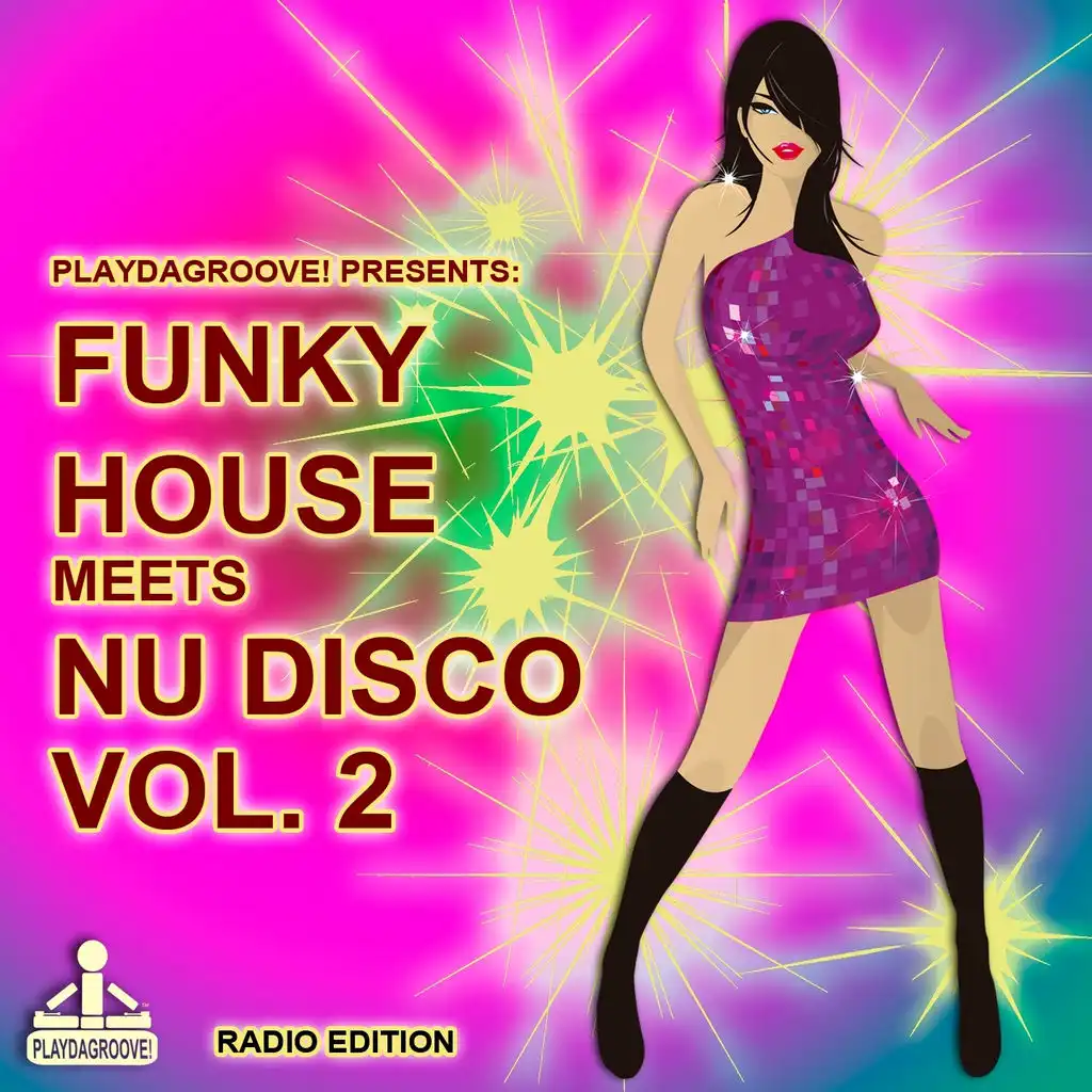 Funky House Meets Nu Disco, Vol. 2 (Radio Edition)