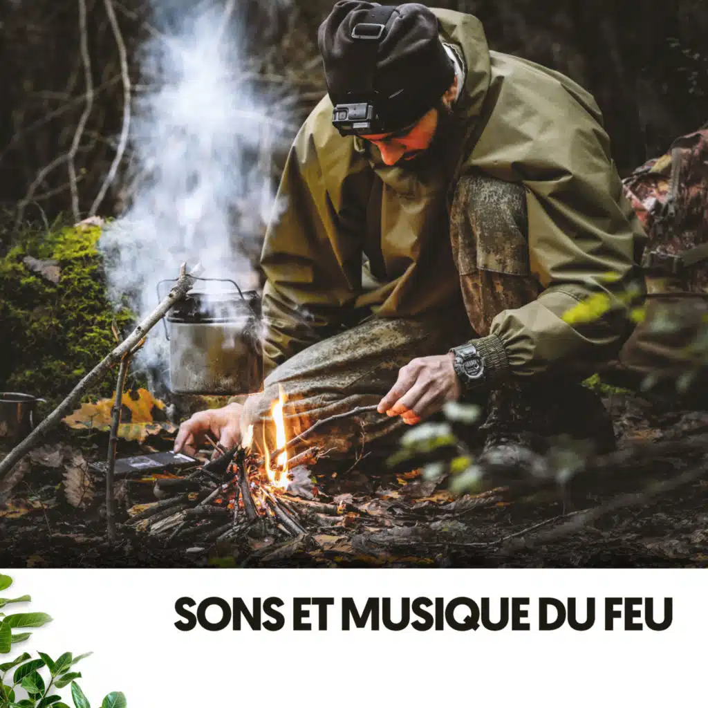 Música Relajante Para Leer & Sonidos De Fuego