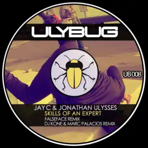 Skills of an Expert (Remixes)