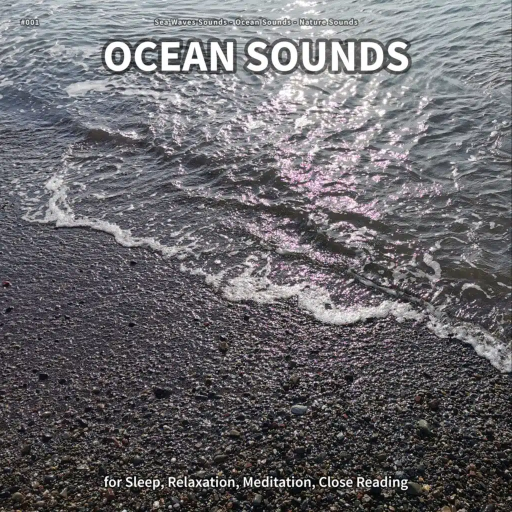Ocean Sounds, Pt. 43