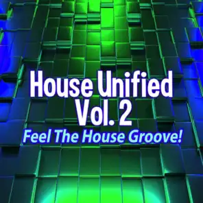 House Unified, Vol.2 - Feel the House Groove!