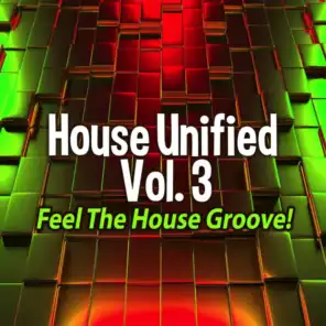 House Unified, Vol.3 - Feel the House Groove!