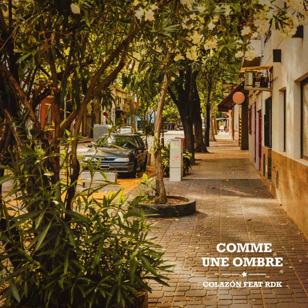 Comme une ombre (feat. RdK)