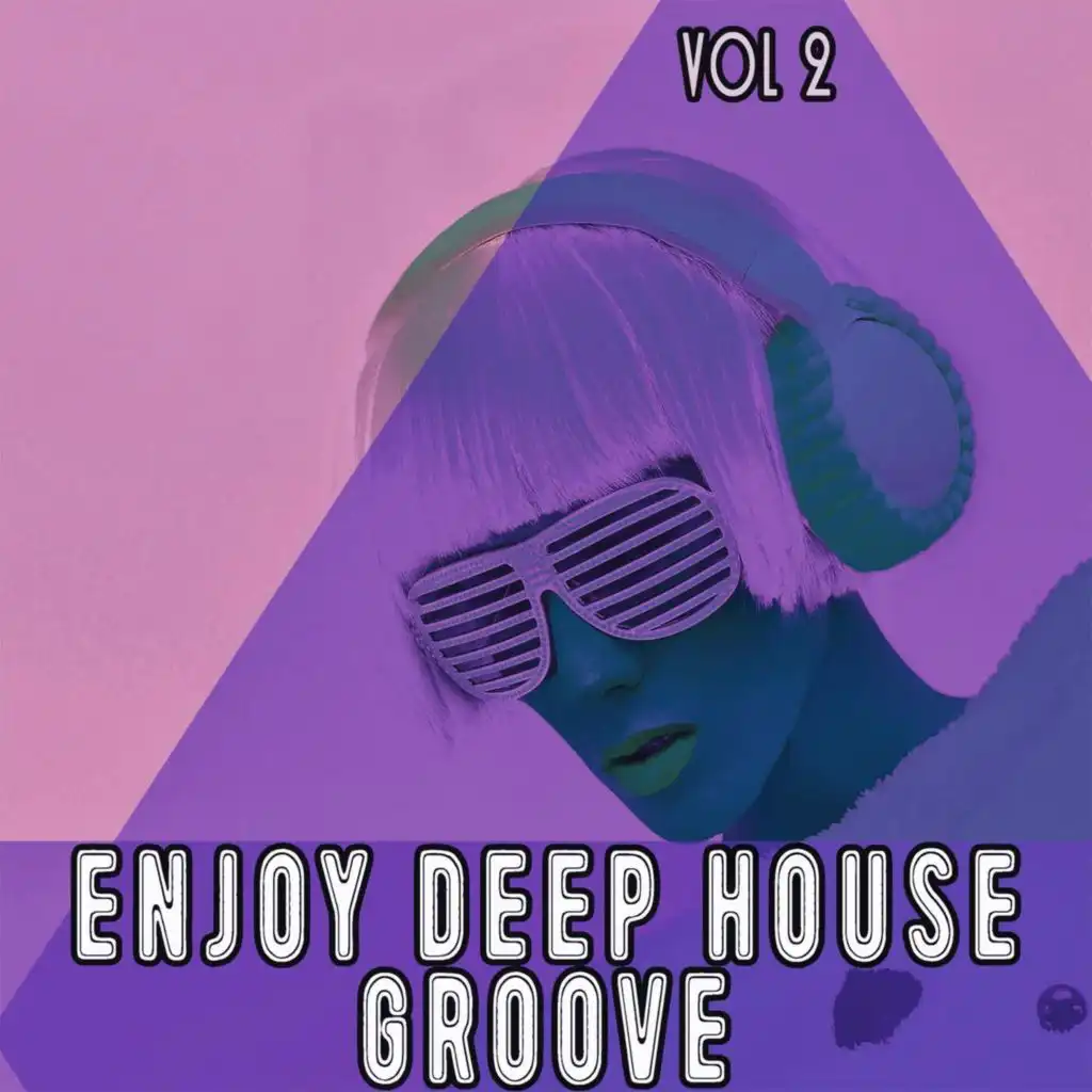 Enjoy Deep House Groove, Vol. 2 - Shiny House and Deep Grooves