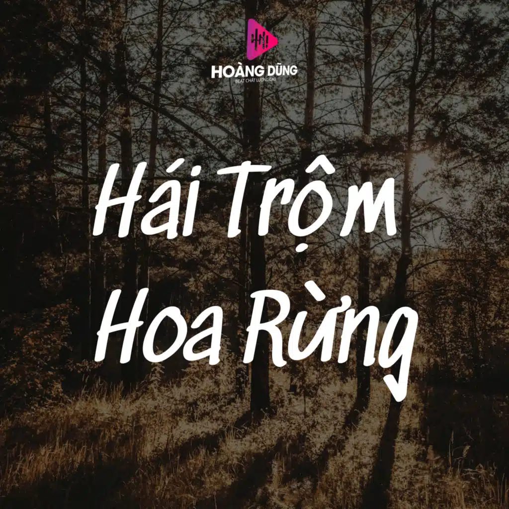 Đêm Buồn Tỉnh Lẻ