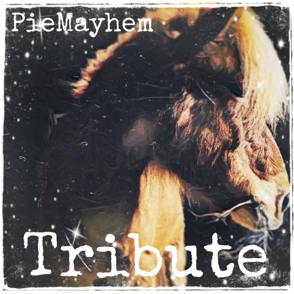 PieMayhem