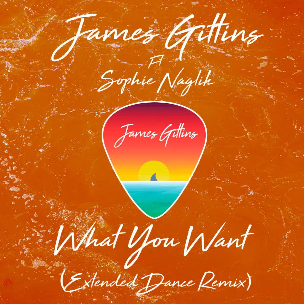 What You Want (Extended Dance Remix) [feat. Sophie Naglik]