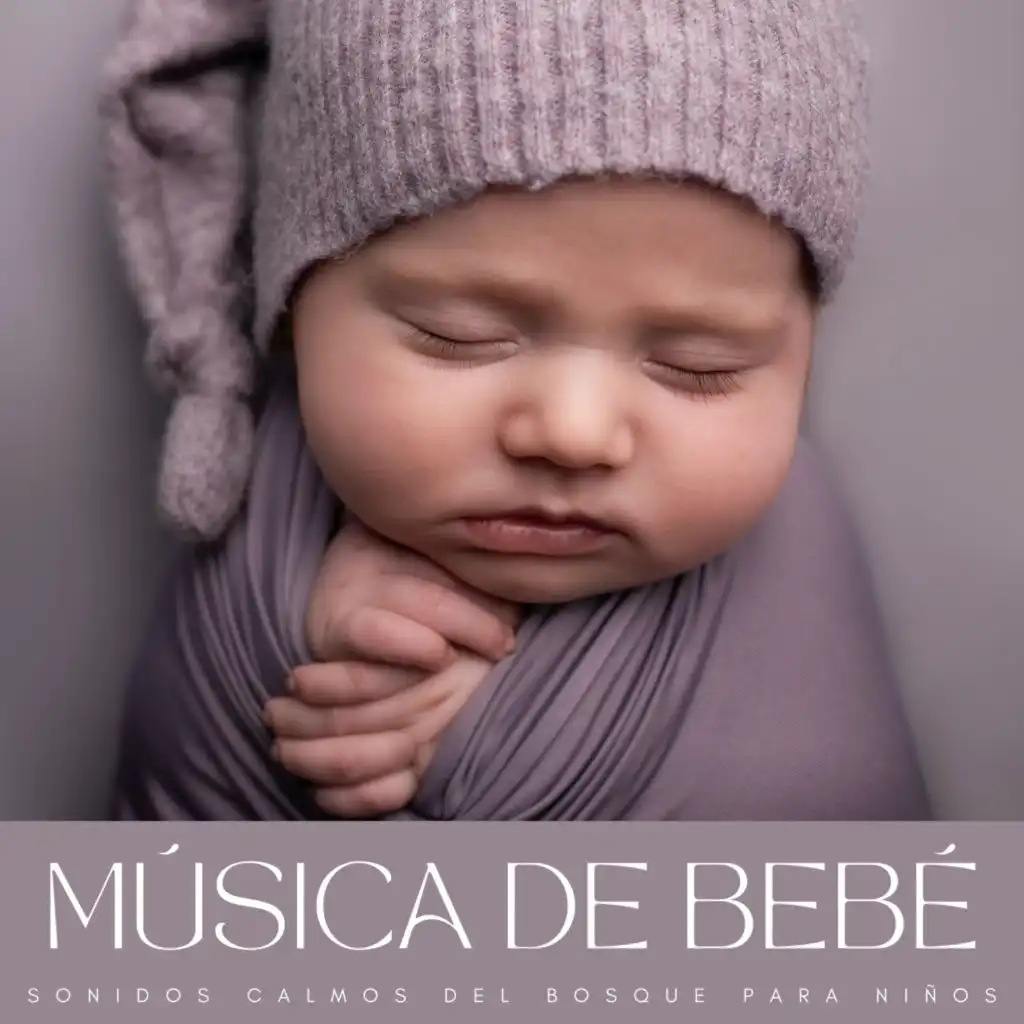 Música De Bebé: Sonidos Calmos Del Bosque Para Niños