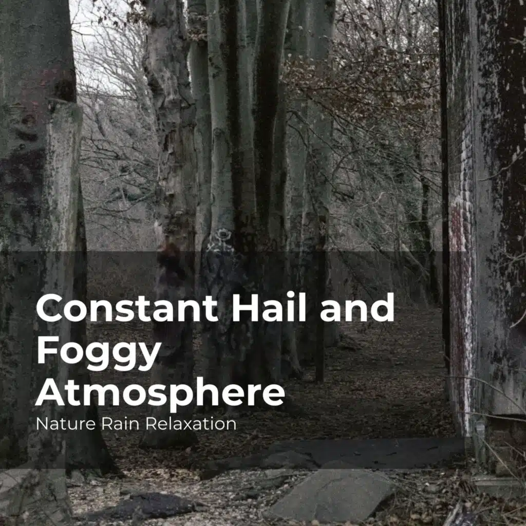 Skyfall in the Paradise