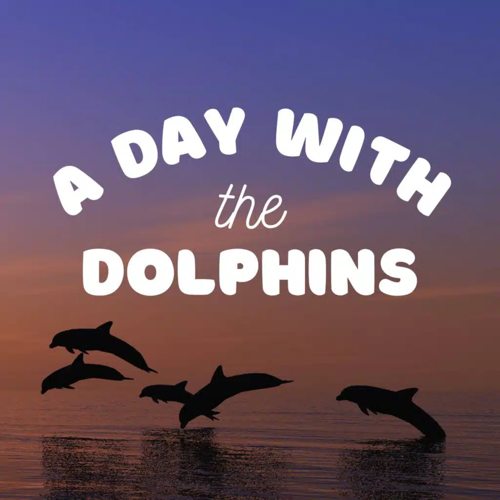 A Day with the Dolphins