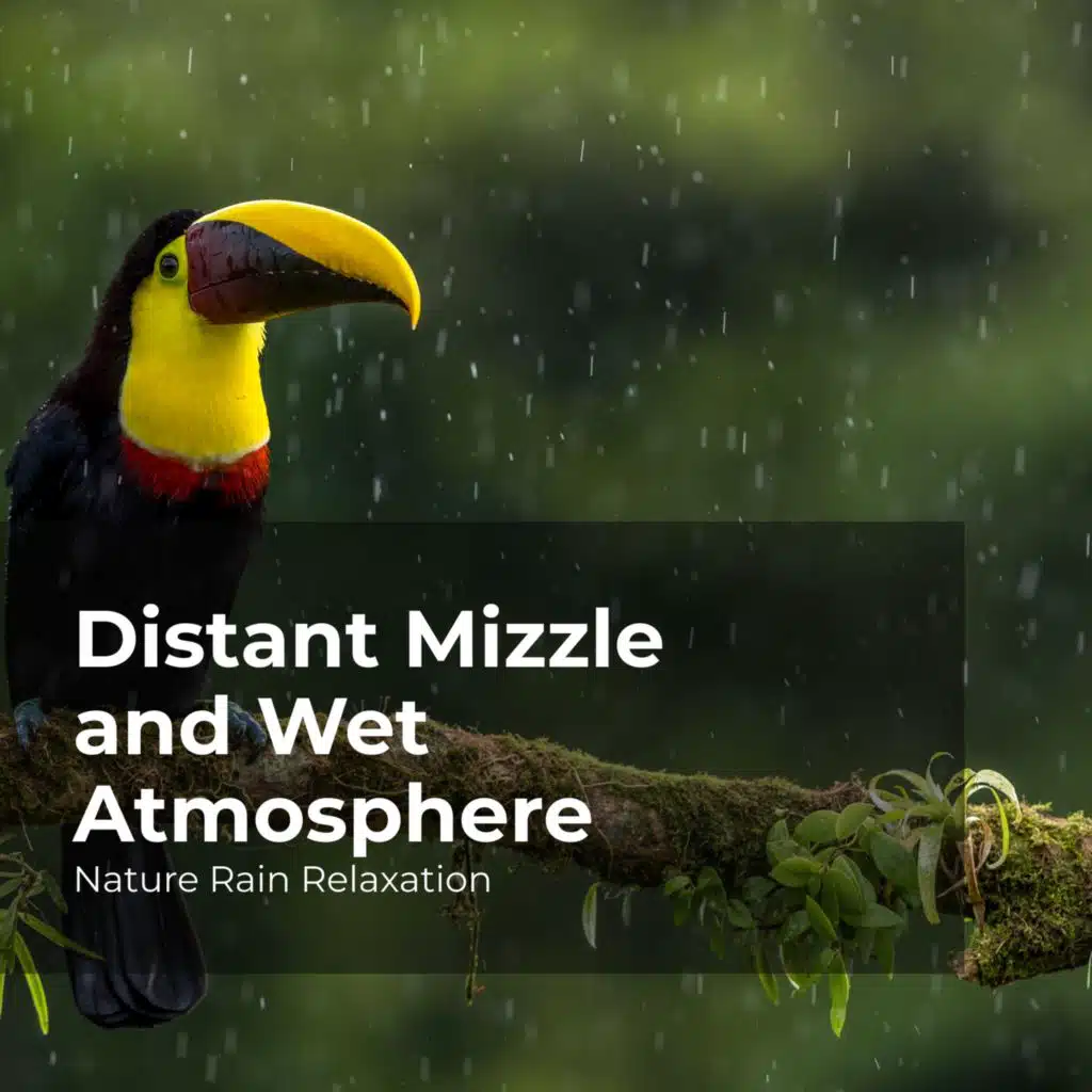 Rain Falling on Land