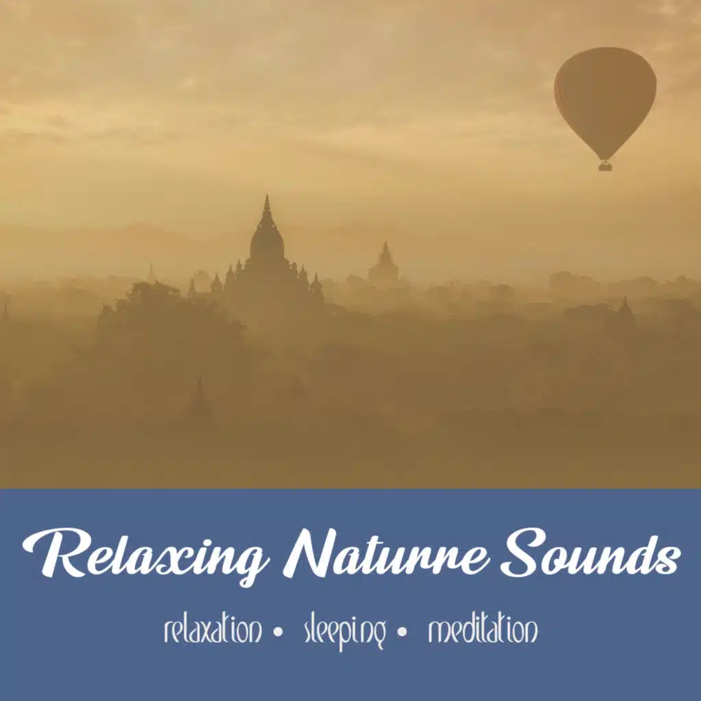 A Journey Begins | 15 Min Reflection