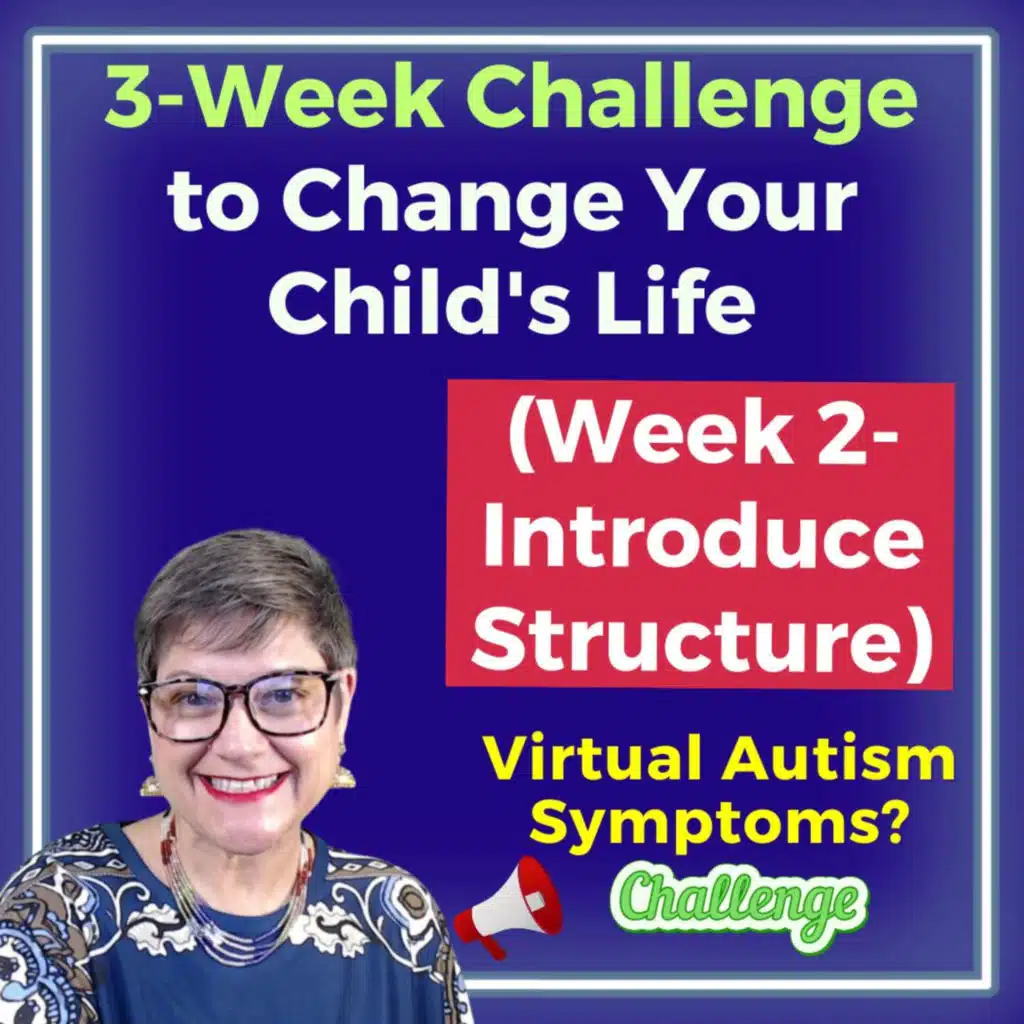 Virtual Autism Symptoms Challenge the ASD Diagnosis - Week #2 Introduce Structure