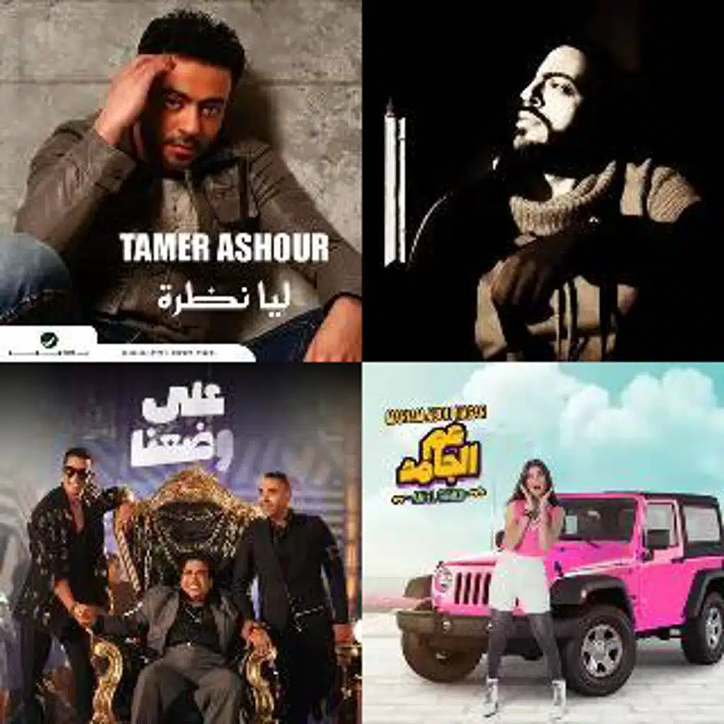 تامر عاشور ميدلى