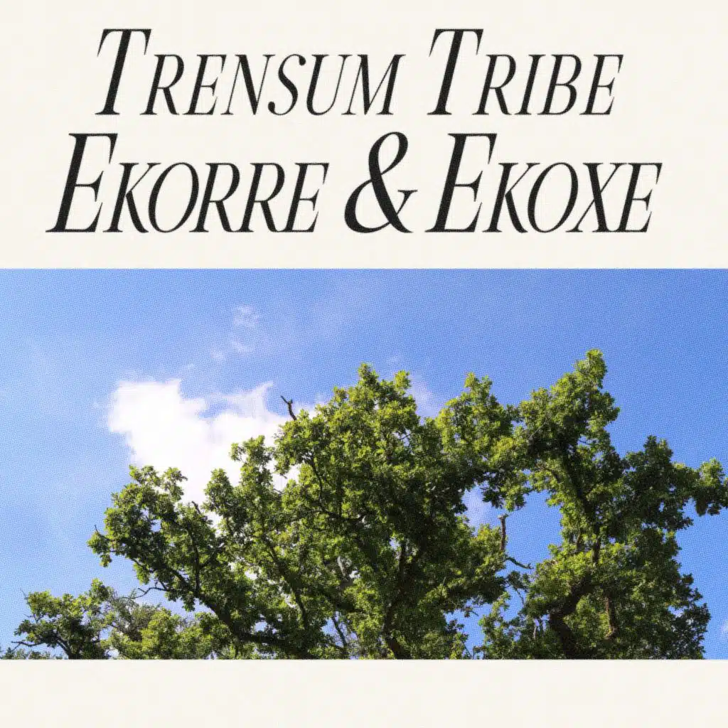 Trensum Tribe